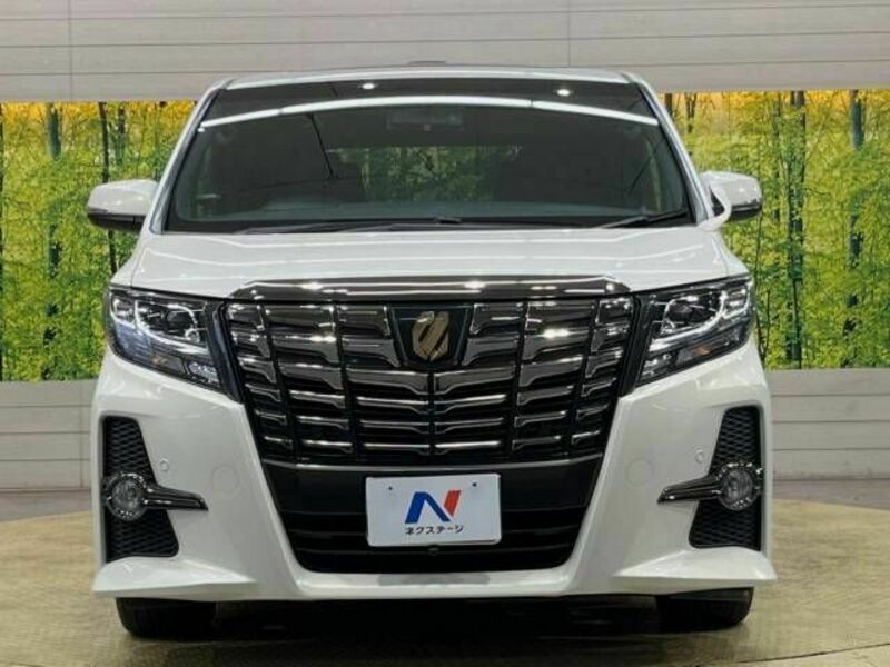 ALPHARD-15