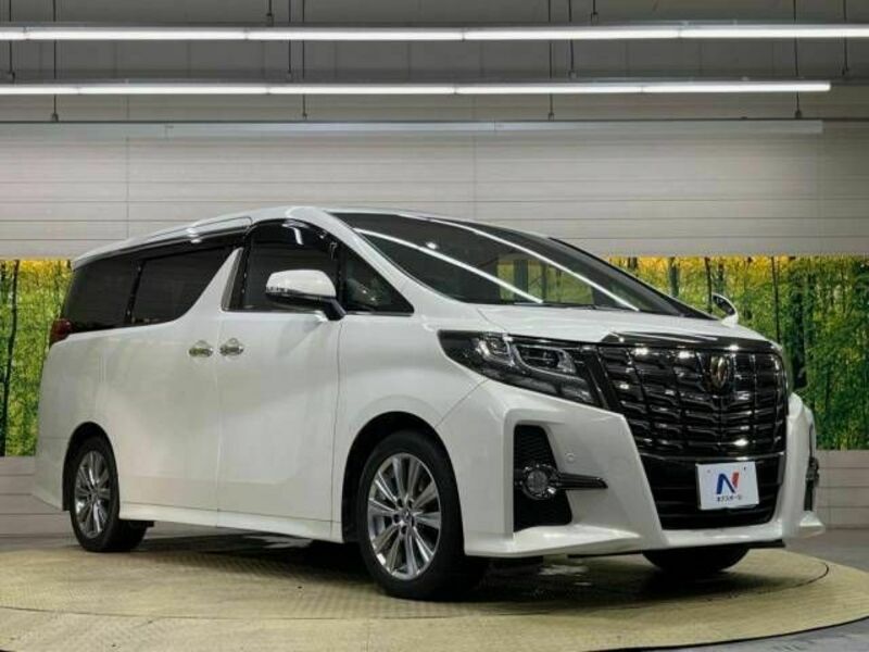 ALPHARD-17