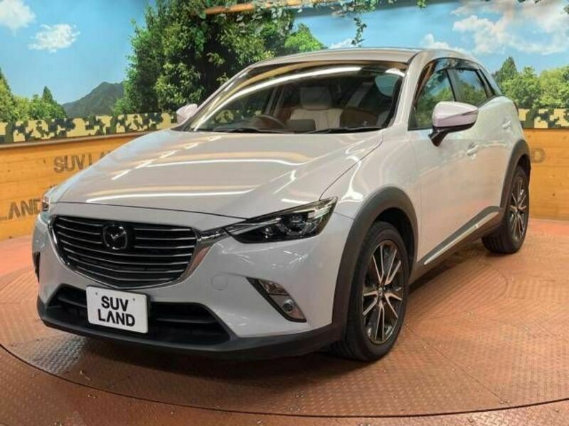 CX-3-17