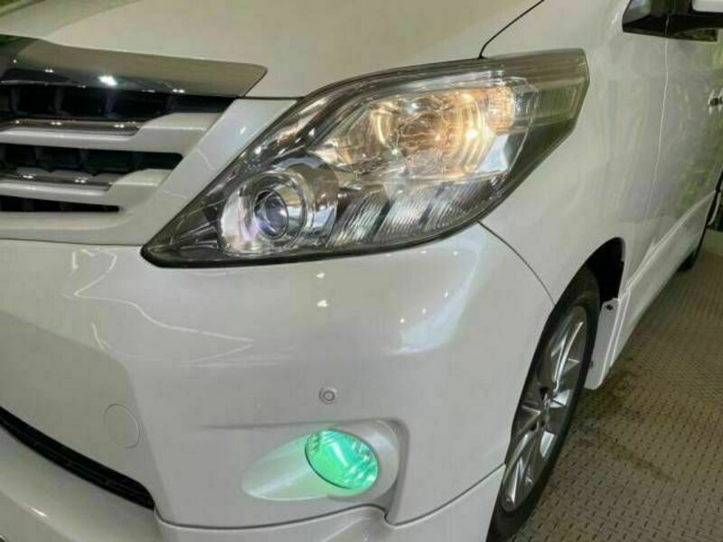 ALPHARD-13