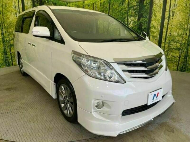 ALPHARD-17