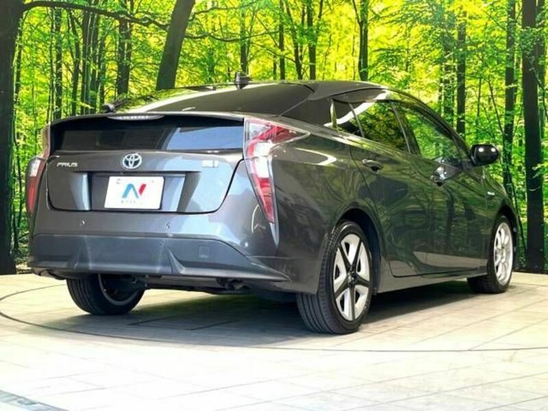 PRIUS-17