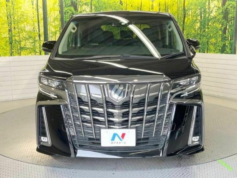 ALPHARD-15