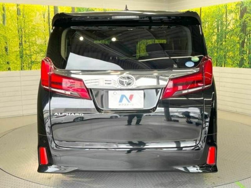 ALPHARD-16