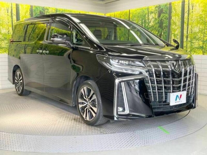 ALPHARD-17