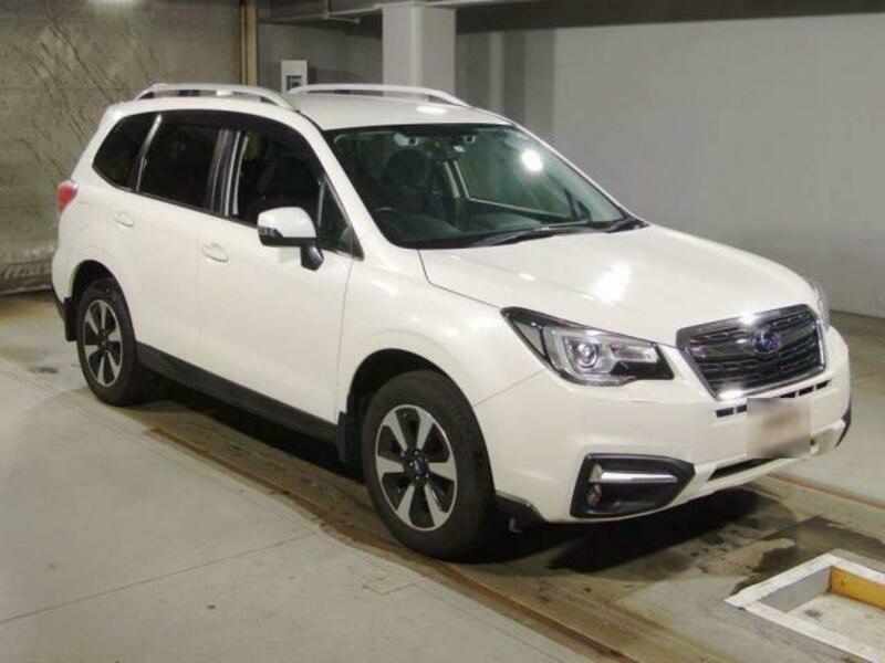 FORESTER-1