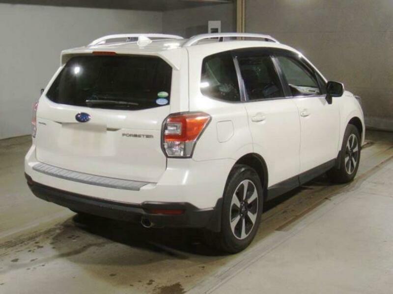 FORESTER-3