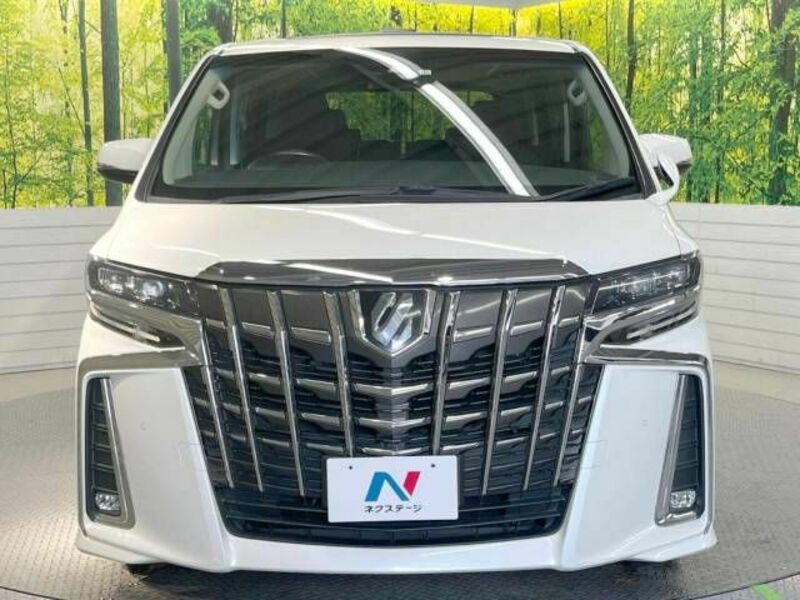 ALPHARD-15