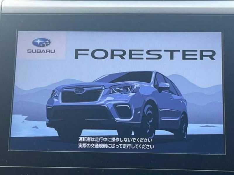 FORESTER-3