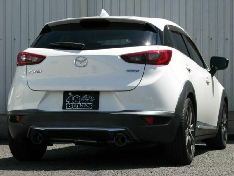 CX-3-1