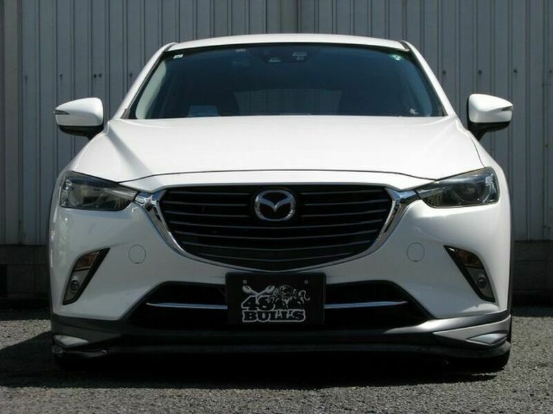 CX-3-13