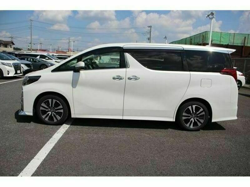 ALPHARD-8