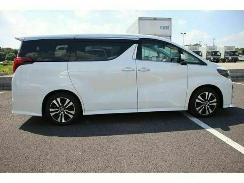 ALPHARD-10