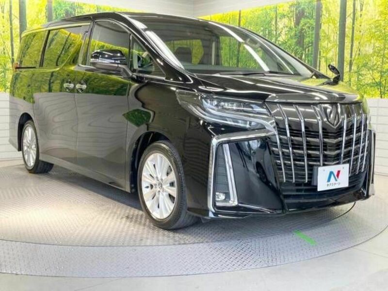 ALPHARD-17