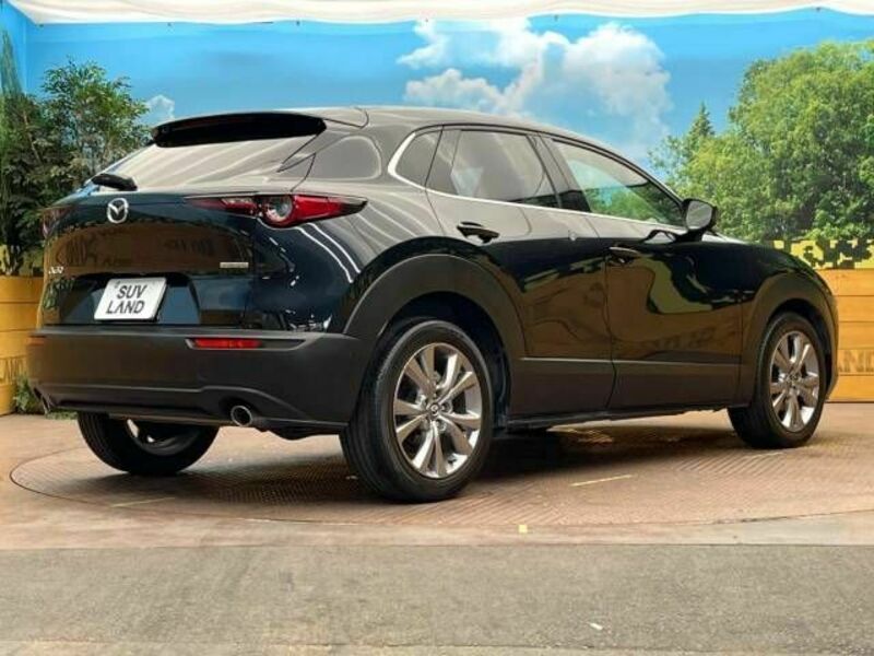 CX-30-17