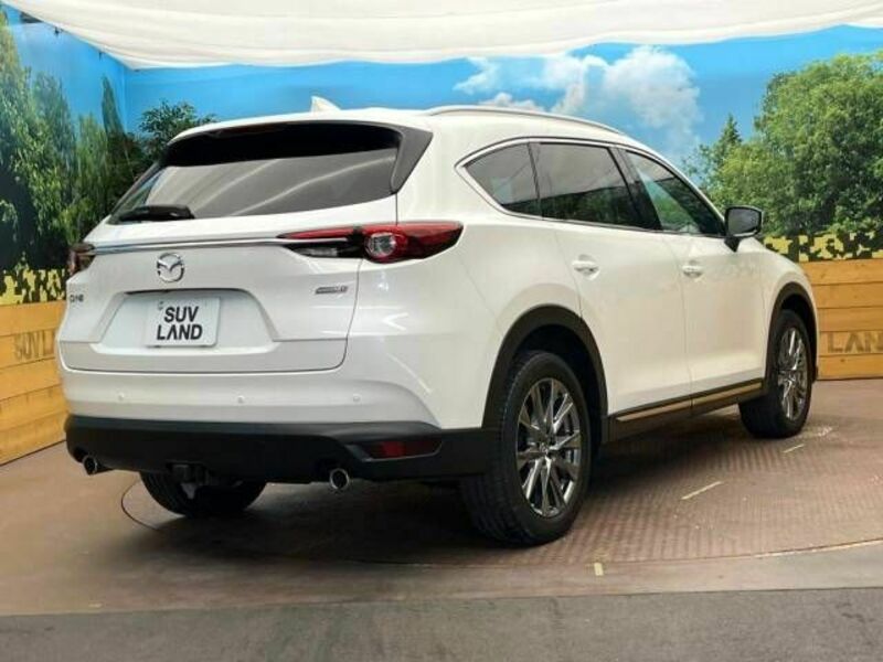 CX-8-17