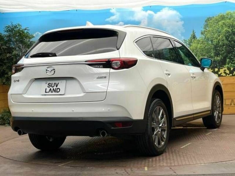 CX-8-18