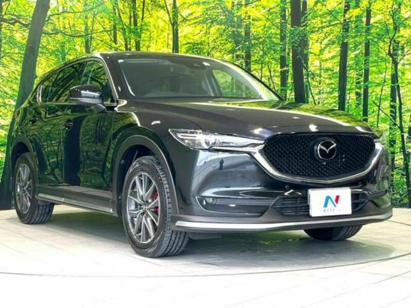 CX-5-17