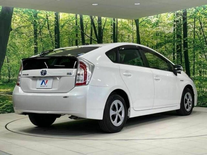 PRIUS-17