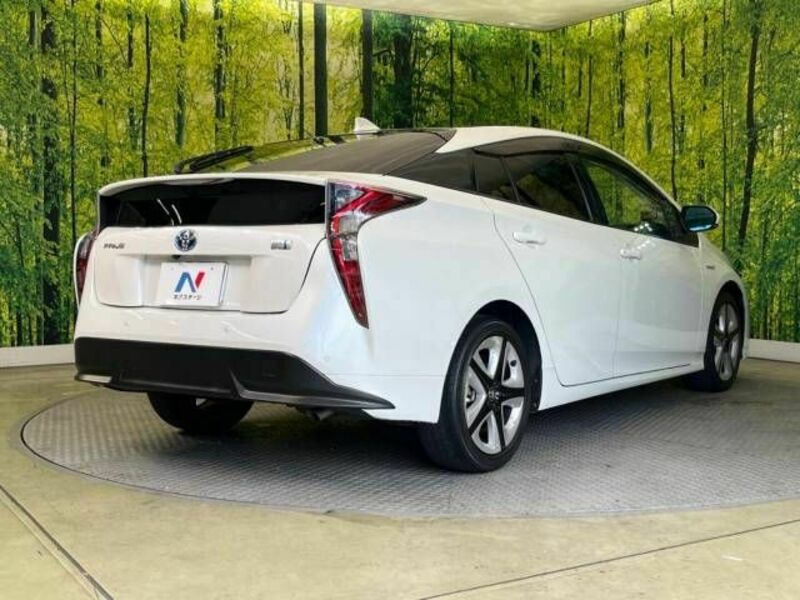 PRIUS-17