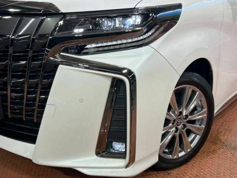 ALPHARD-13