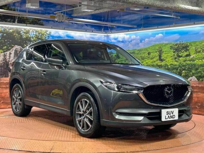 CX-5-16