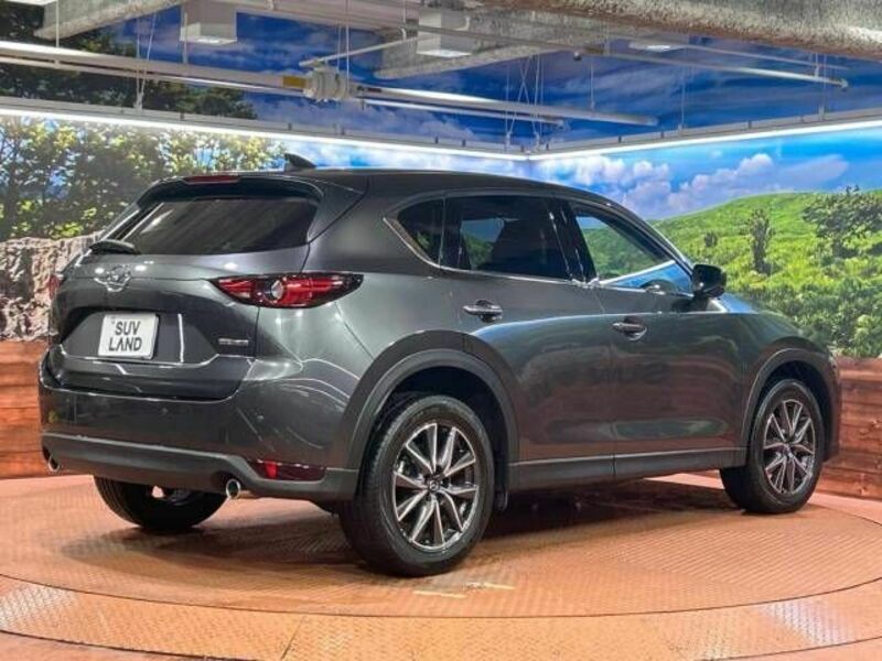 CX-5-17