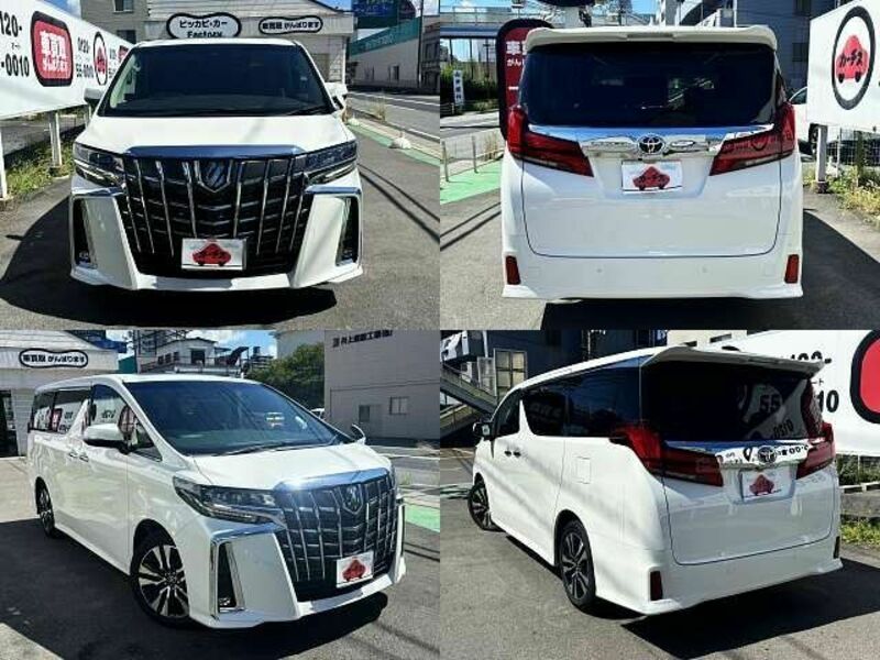 ALPHARD-8