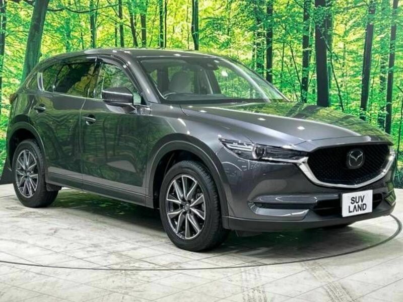 CX-5-16