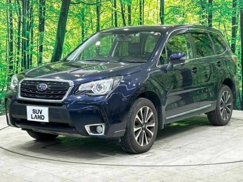 FORESTER-17