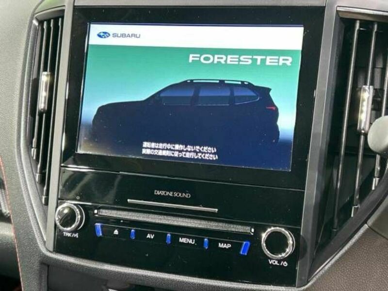 FORESTER-2