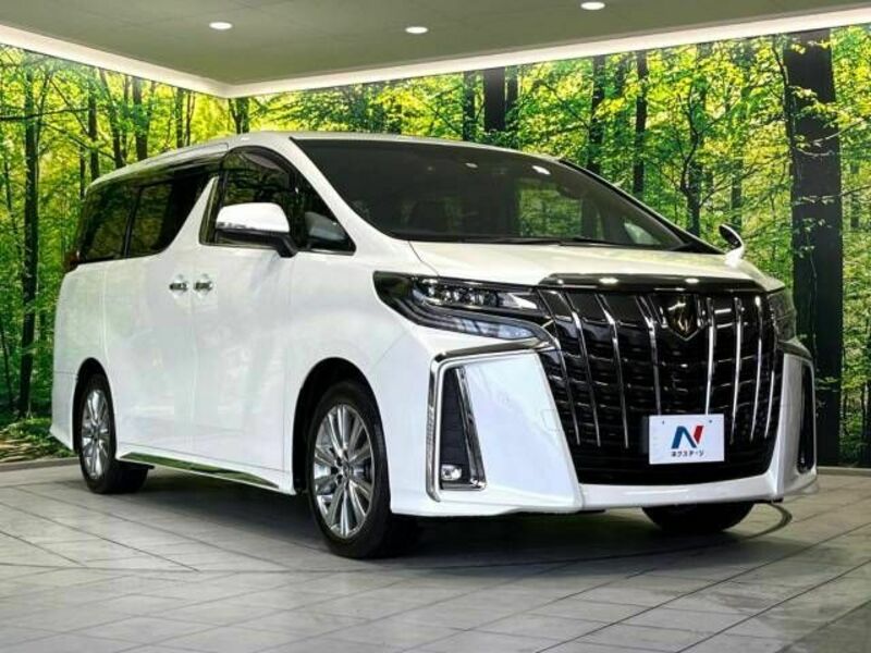 ALPHARD-17