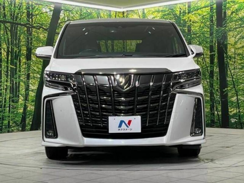 ALPHARD-14