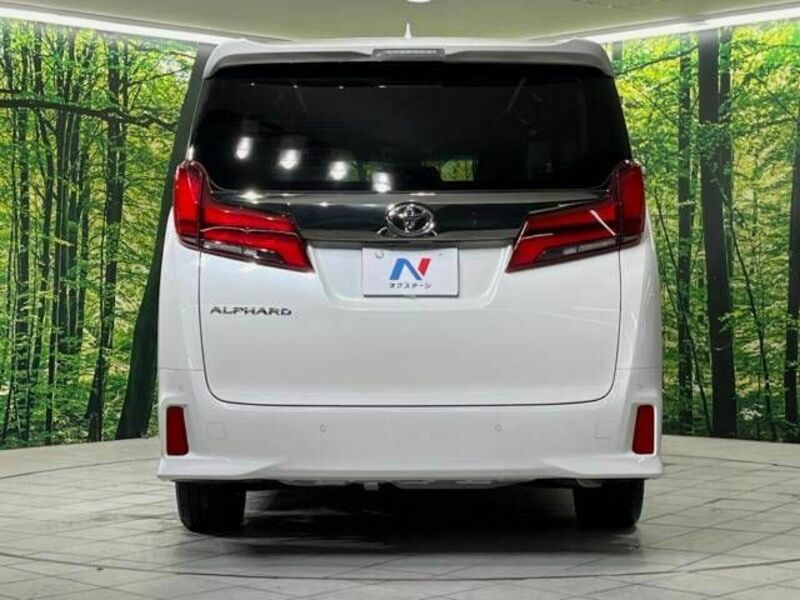 ALPHARD-15