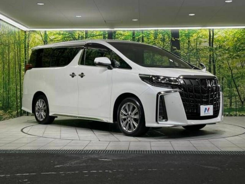 ALPHARD-16