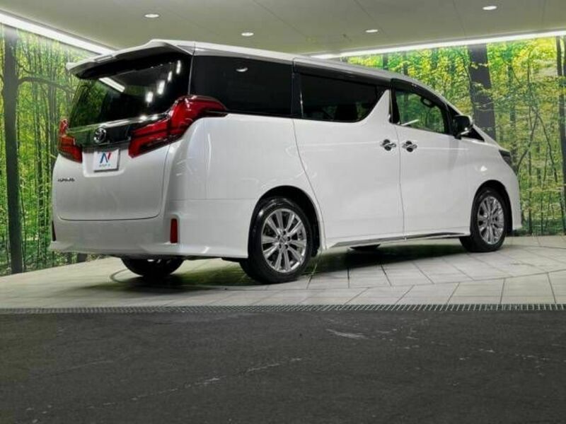 ALPHARD-17