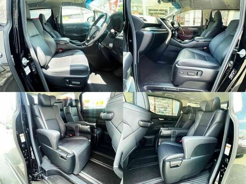 ALPHARD-6