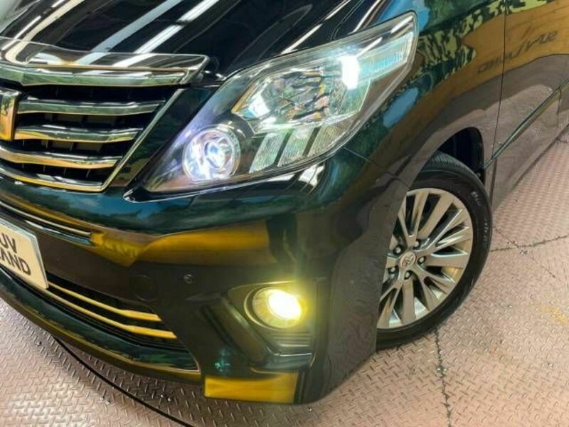 ALPHARD-12