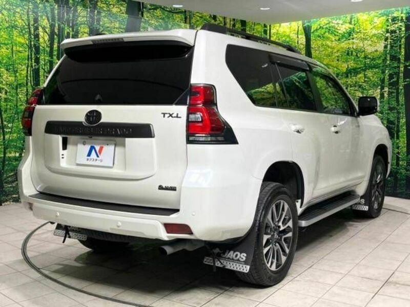 LAND CRUISER PRADO-18