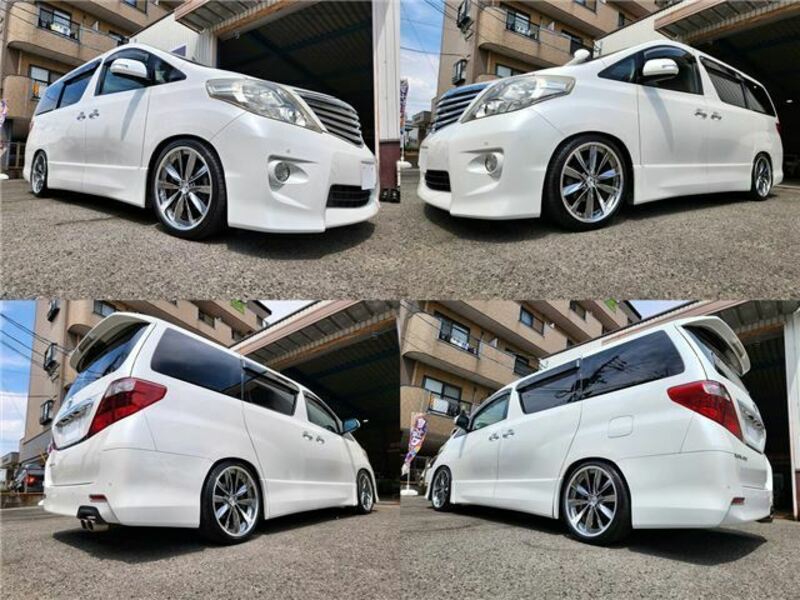 ALPHARD-15