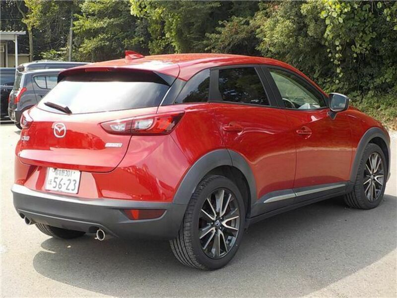 CX-3-8