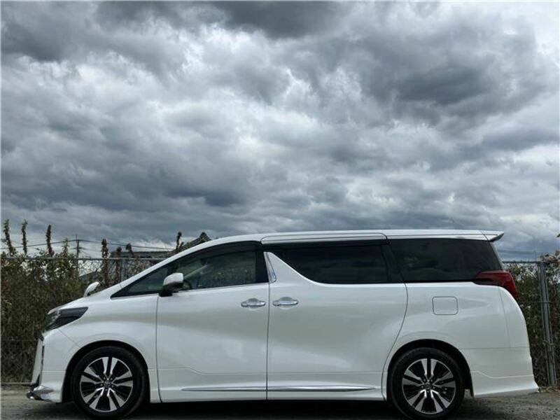 ALPHARD-19