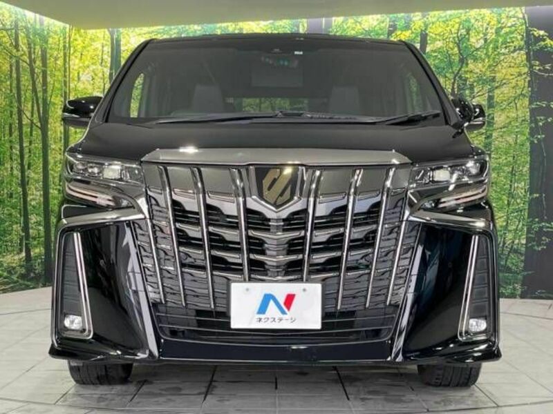 ALPHARD-15