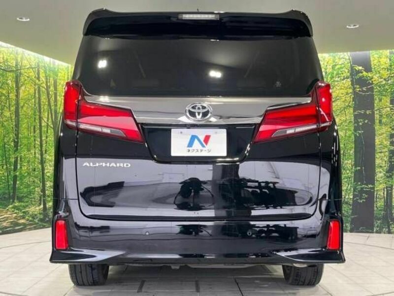 ALPHARD-16