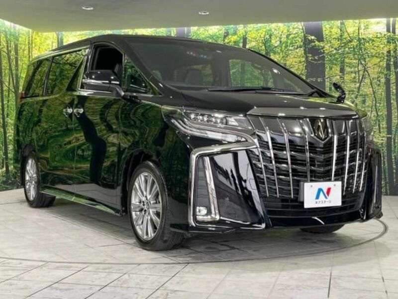 ALPHARD-17