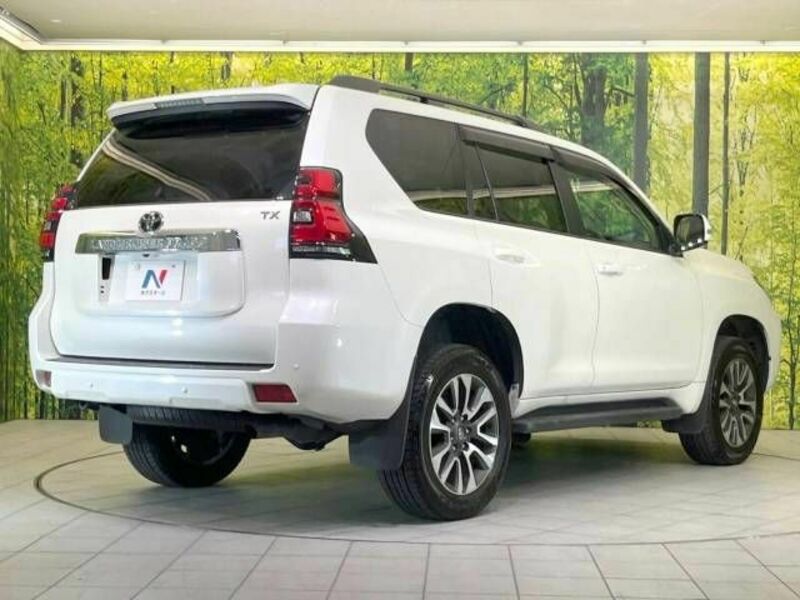 LAND CRUISER PRADO-18