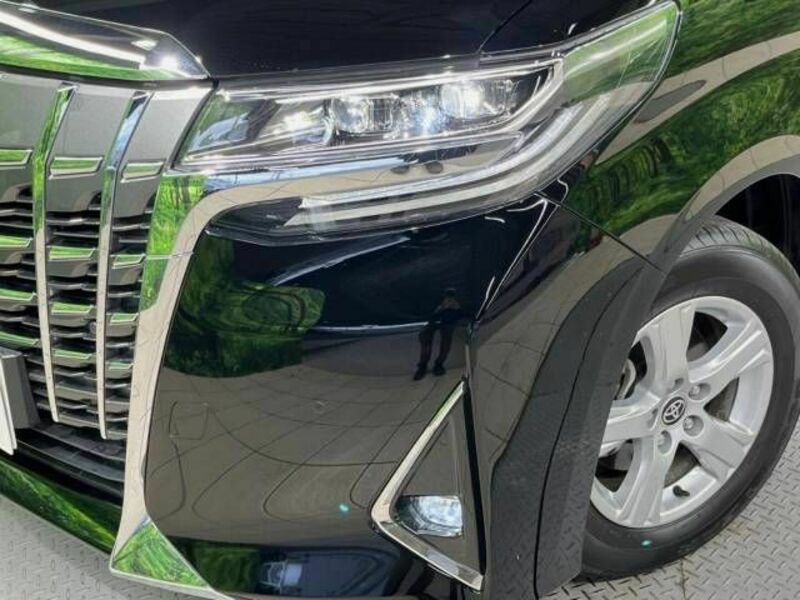 ALPHARD-13