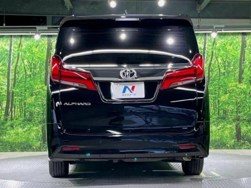 ALPHARD-16