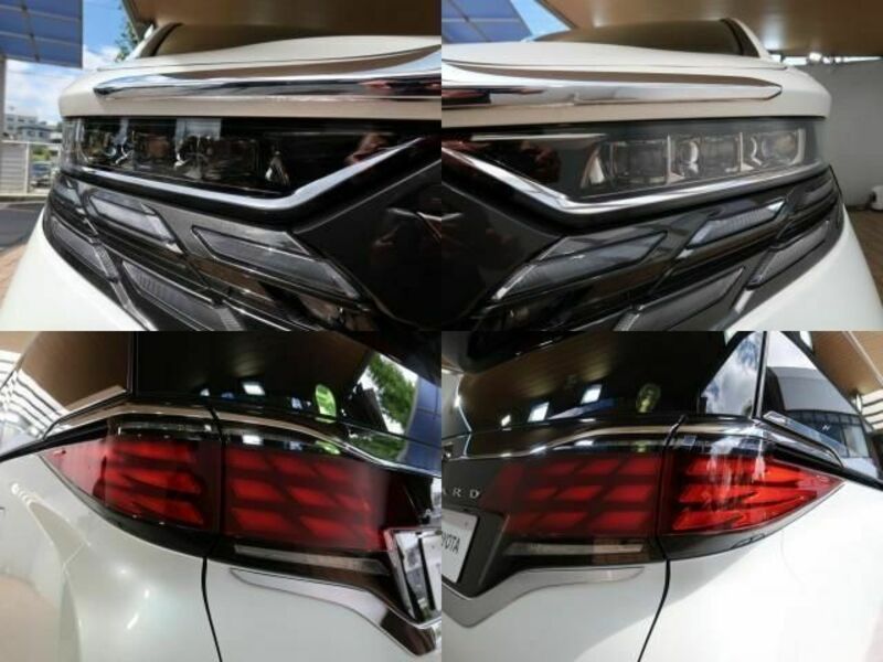 ALPHARD-3