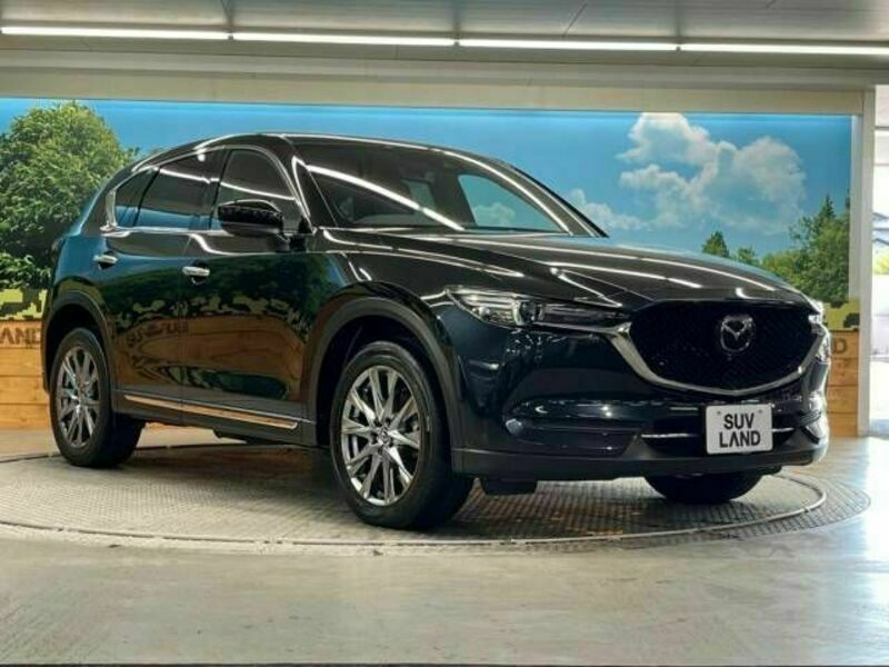 CX-5-16